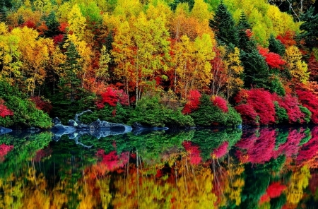 Autumn colors - trees, beautiful, tranquil, colors, forest, lovely, reflection, lakeshore, fall, mirror, autumn, serenity, lake, foliage