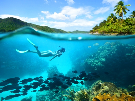 diving trip in paradise - girls, woman, women, sky, sunshine, beach, trees, female, people, paradise, photography, water, bubbles, underwater, vacation, fishes, clouds, holiday, tropic, ocean, girl, hills, palms, summer, tropical, isle, world, abstract, island, sea