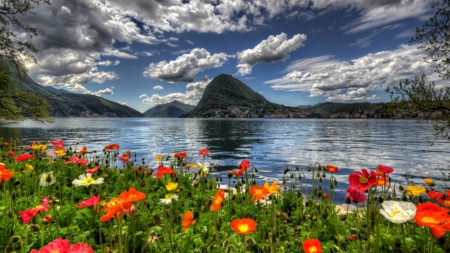 Mountain Wildflowers - nature, mountains, lake, flowers