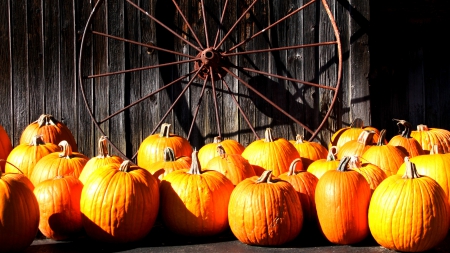 A Touch of Country - wood, pumpkins, fall, autumn, wall, wheel