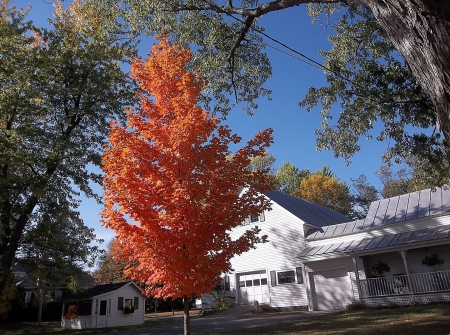 Autumn in Maine - maine, sky, autumn, fall, skowhegan, tree, house