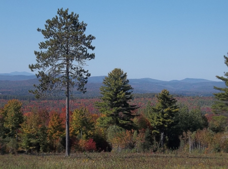 Autumn in Maine - Autumn, trees, Fall, mountains, Maine, sky