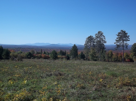 Autumn in Maine - maine, fall, mountains, fields, trees, autumn