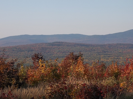 Autumn in Maine - maine, sky, autumn, fall, trees, leaves