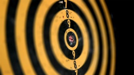 target shooting - target, shooting, numbers, stripes