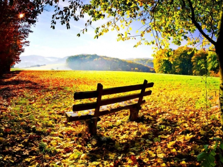 Autumn Rest - sunshine, autumn, sky, trees, fall leaves, sun, bench, meadow, foliage, fall, rays, sunlight, park, serenity, nature, leaves, rest, sunrise, beautiul