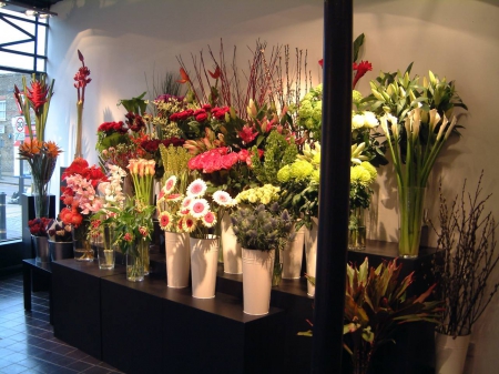 Regal Burlington Florist - burlington flowers, florist burlington, burlington florist, burlington florists, flower shop