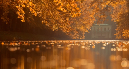 Autumn Light - bokeh, lake, autumn, water, autumn leaves, nature, view, fall, splendor, leaves, house