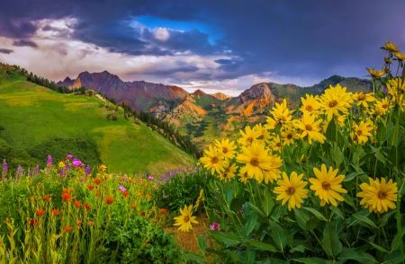 Mountain beauty - greenery, hills, summer, beautiful, landscape, slope, grass, lovely, mountain, wildflowers, nature, view, sky, rocks