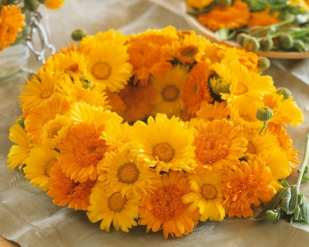 Flower Wreaths - wreaths, flowers, yellow, petals