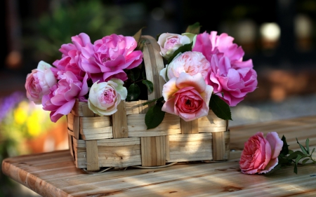 Basket with roses - basket, rose, flower, pink