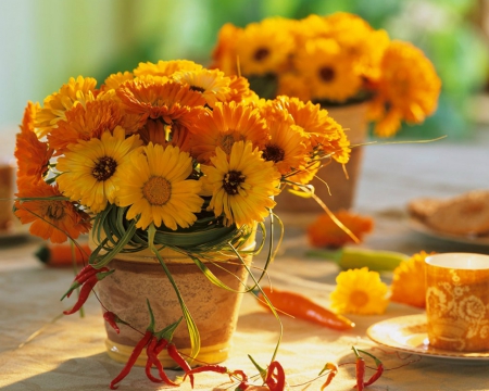 Beautiful Yellow Flowers - flowers, vase, yellow, petals