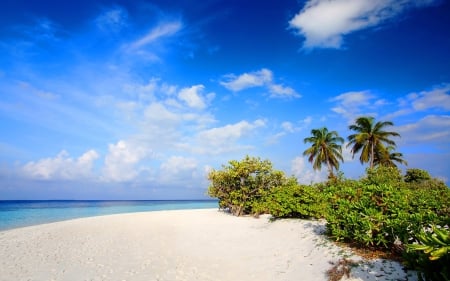 Beautiful Beach - nature, beaches, sky, blue, tropical