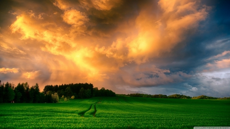 Stunning Landscape - grass, nature, stunning landscape, sky