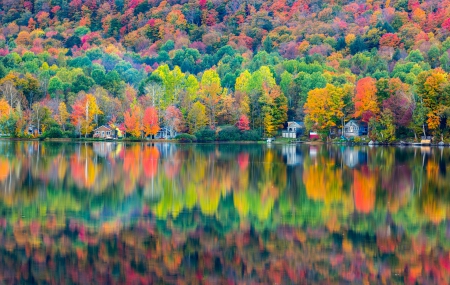 Landscape - lake, autumn, trees, forest, shadow