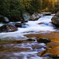 Elkmont Stream, Great Smoky Mountains