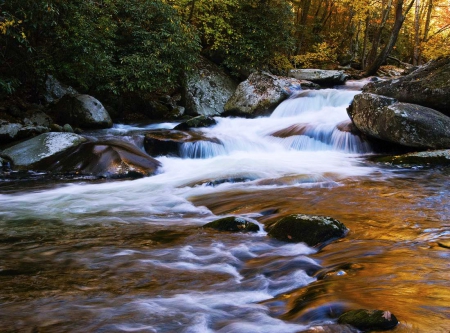 Elkmont Stream, Great Smoky Mountains - trees, water, USA, landscape, forest, stones, river, autumn, mountains