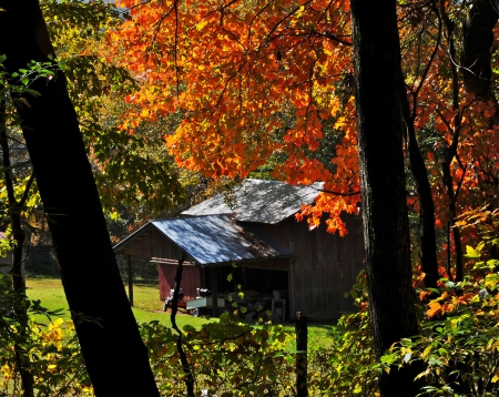 Old Barn near Black Mountains, NC - autumn, fall, trees, leaves, colors, usa