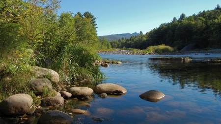 Shallow River - river, trees, shallow, rocks