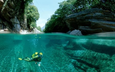 Scuba Diving - water, scuba diving, trees, rocks