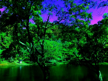 EMERALD FOREST LAKE - nature, lake, forest, emerald, sky