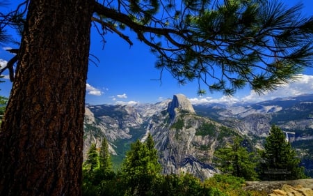 BEAUTY of YOSEMITE - yosemite, california, landscape, photography, park, national