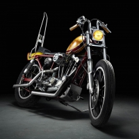Ironhead