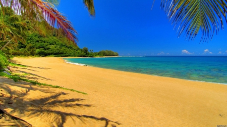 Beach - clean, beach, sand, sea