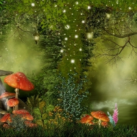 Fantasy Forest