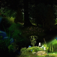Fantasy Forest