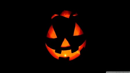 Spooky Jack-O-Lantern - wide screen, photo, halloween, october, jack o lantern, occasion, pumpkin, art, holiday, photography