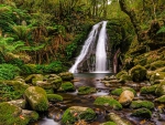 Five Day Creek Falls, NSW, Australia