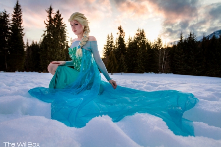 Elsa the snow queen - snow, elsa, blue, queen