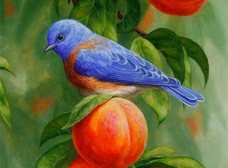 Cute Blue Bird - birds, animal, blue, fruits, art