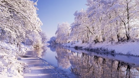 river bann in winter - ice, tree, snow, river