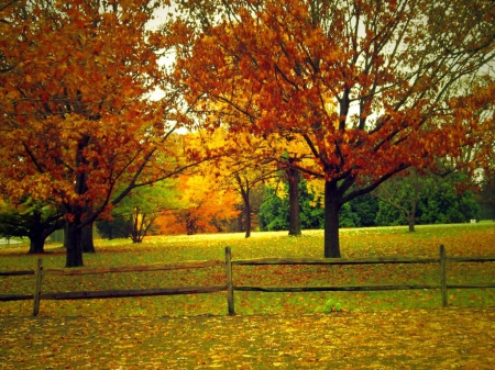 Autumn Country - countsy, trees, nature, fall laves, autumn