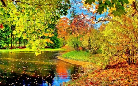 PARK in AUTUMN - lake, sky, autumn, trees, water, park, nature, clouds, leaves, splendor, seasons