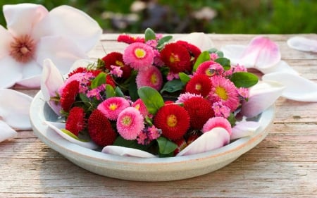 Wreath of Bellis - flowers, plate, wreaths, bellis