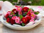 Wreath of Bellis