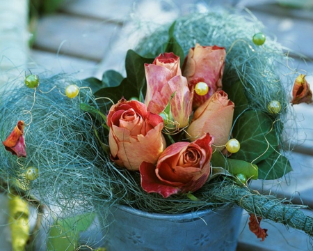 Rose Buds - flowers, rose, petals, buds