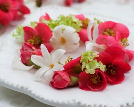 Beautiful Flowers in Plate - flowers, plate, petals, bloom