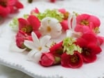 Beautiful Flowers in Plate