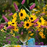 Sunflowers and Buddleia