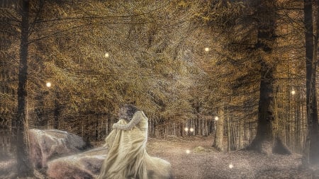 Forest of dreams - star, background, forest, model