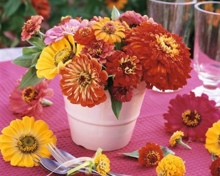 Beautiful Flowers - flowers, table, pot, petals