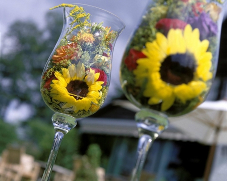 Flowers in Wine Glass - sunflower, flowers, glass, petals