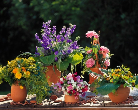 Beautiful Flower Arrangement - flowers, pot, petals, arrangement