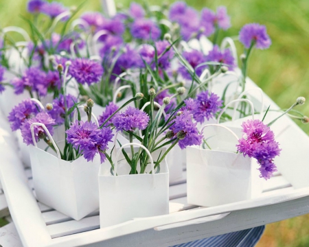 Purple Flowers in Paper Bags - flowers, paper, white, purple