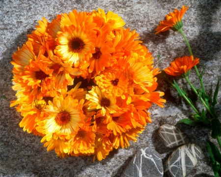 Fresh Marigold Wreath - wreaths, flowers, marigold, yellow