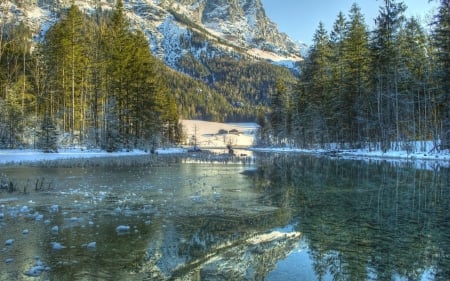 Superb Icy Lake - lake, mountain, forest, snow, winter, tree